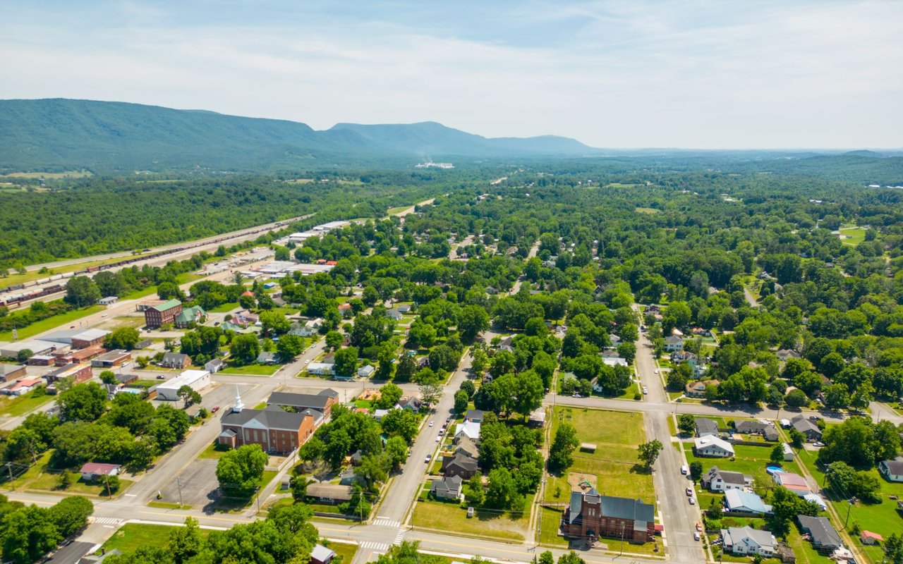 Aerial view of a tree-lined town with homes and distant mountains.