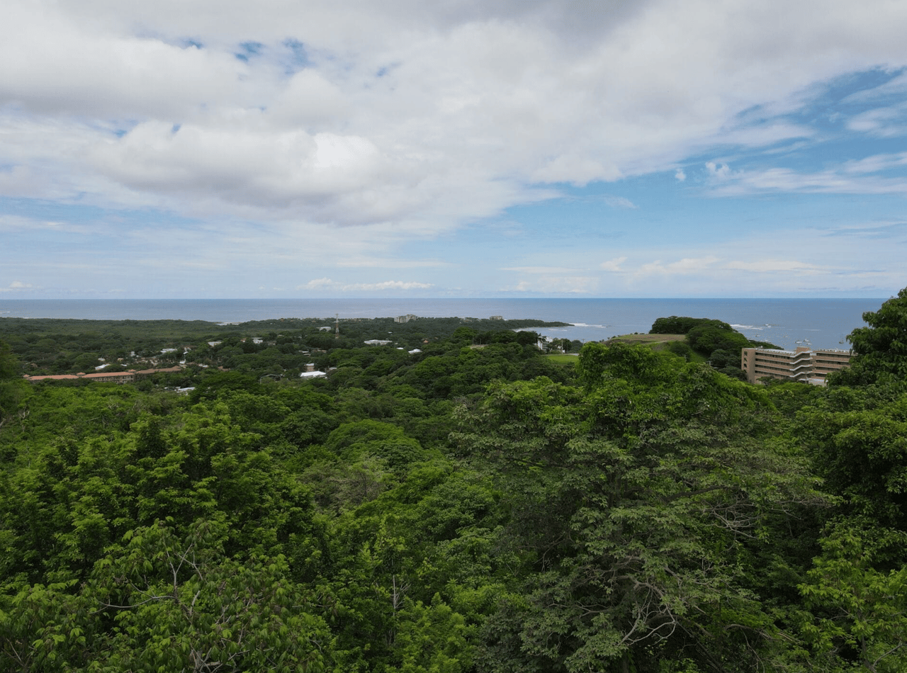 Paradise Ridge Retreat - Luxurious Oceanview Living - Senderos