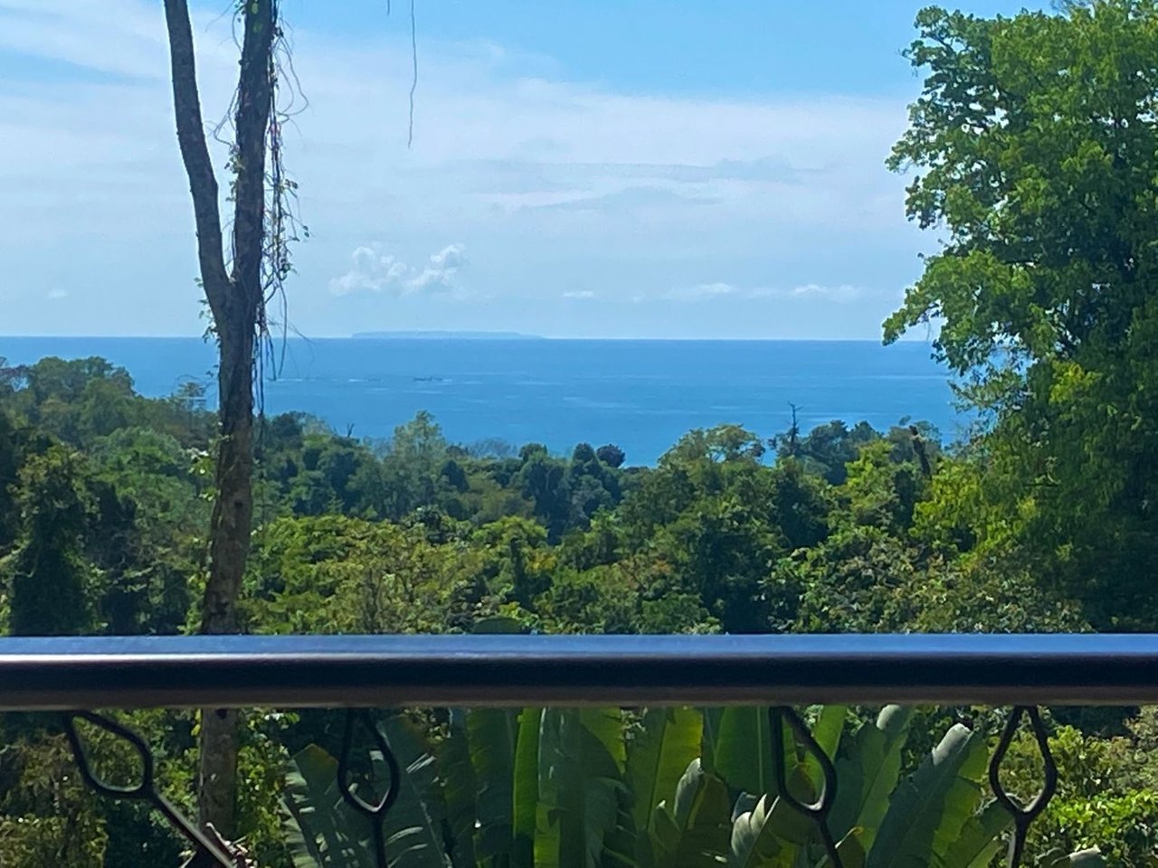 Jungle Villa with Infinity Pool, Uvita, Puntarenas