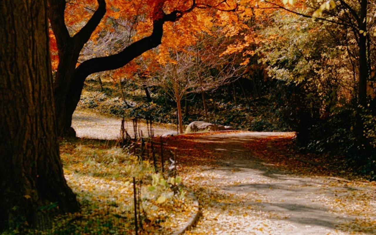 The Top Attractions in Park Slope, Brooklyn, For Locals or Tourists