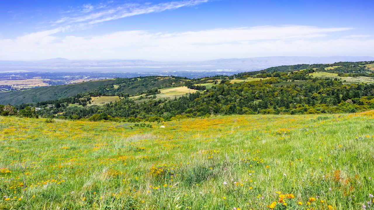 Sunnyvale