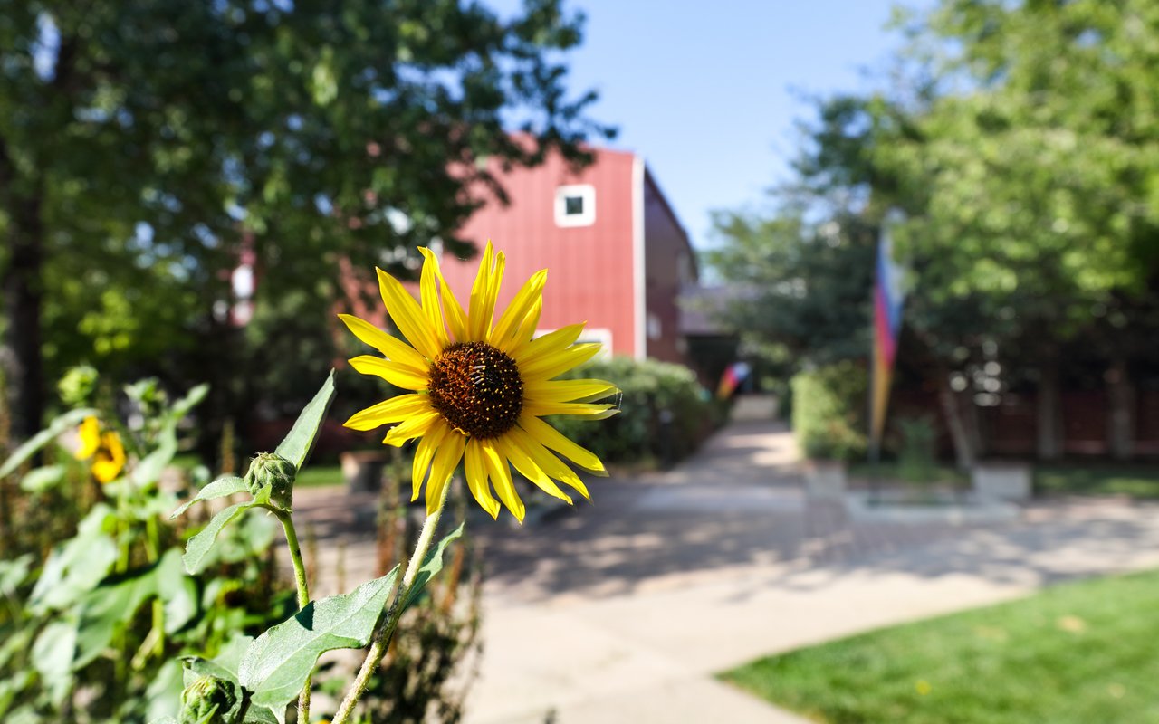 1517 Easy Rider Lane 101 & 102