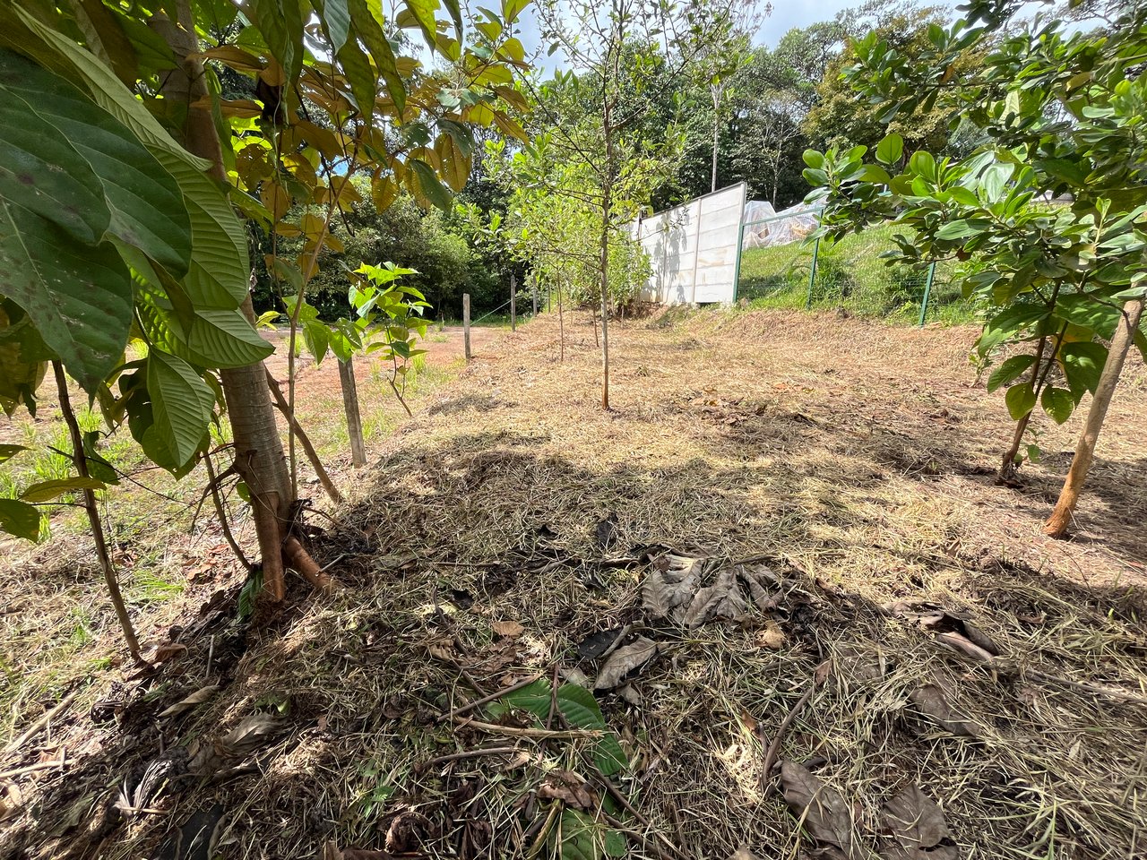 Affordable Uvita Lot UNDER $200-per-sqm - Perfect for Your Dream Home or Airbnb Investment