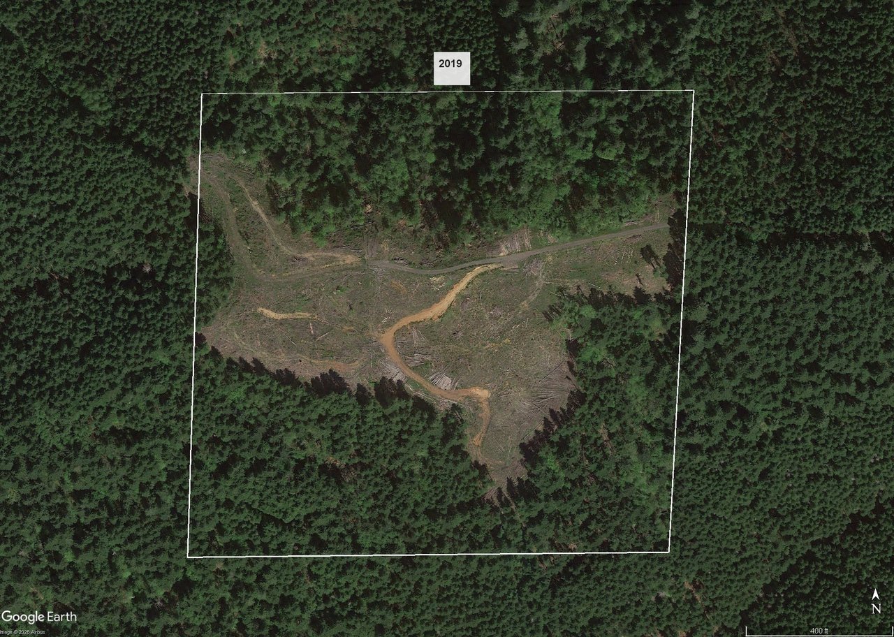 Smith River Back Woods