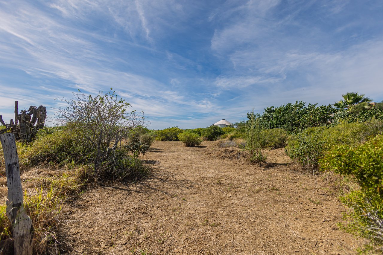 Costa del Pacifico Beachfront