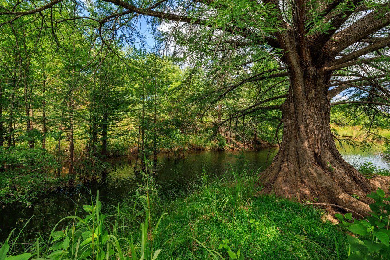 Live Oak Creek Ranch 