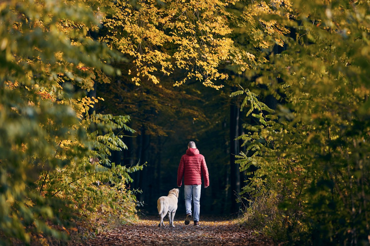 Why Move to Litchfield County, CT 