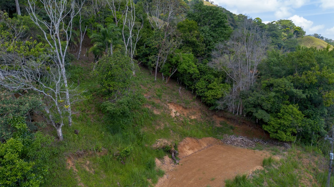 Lote con Potencial Comercial – La Palma, Pérez Zeledón