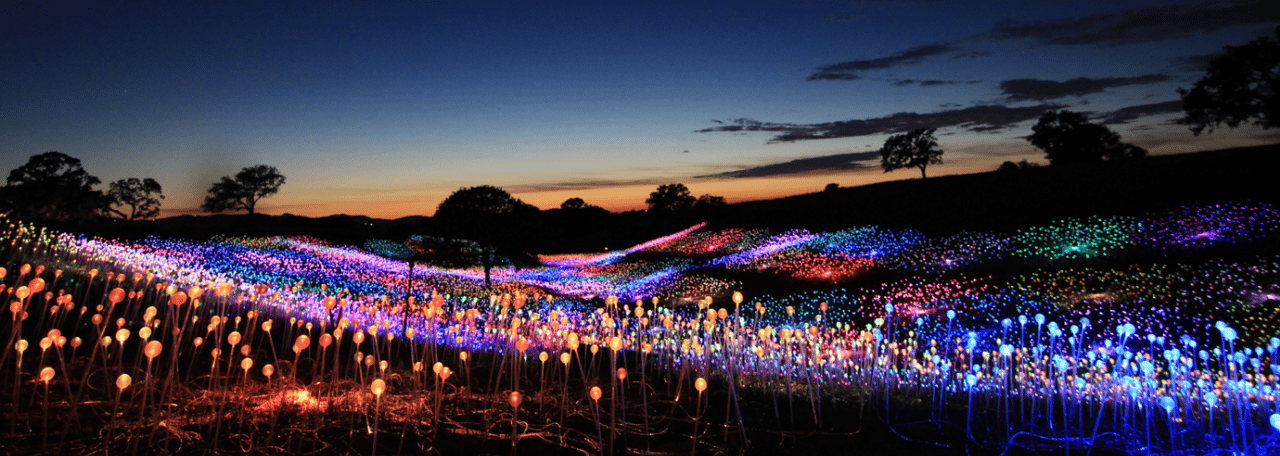 Field of Light at Sensorio