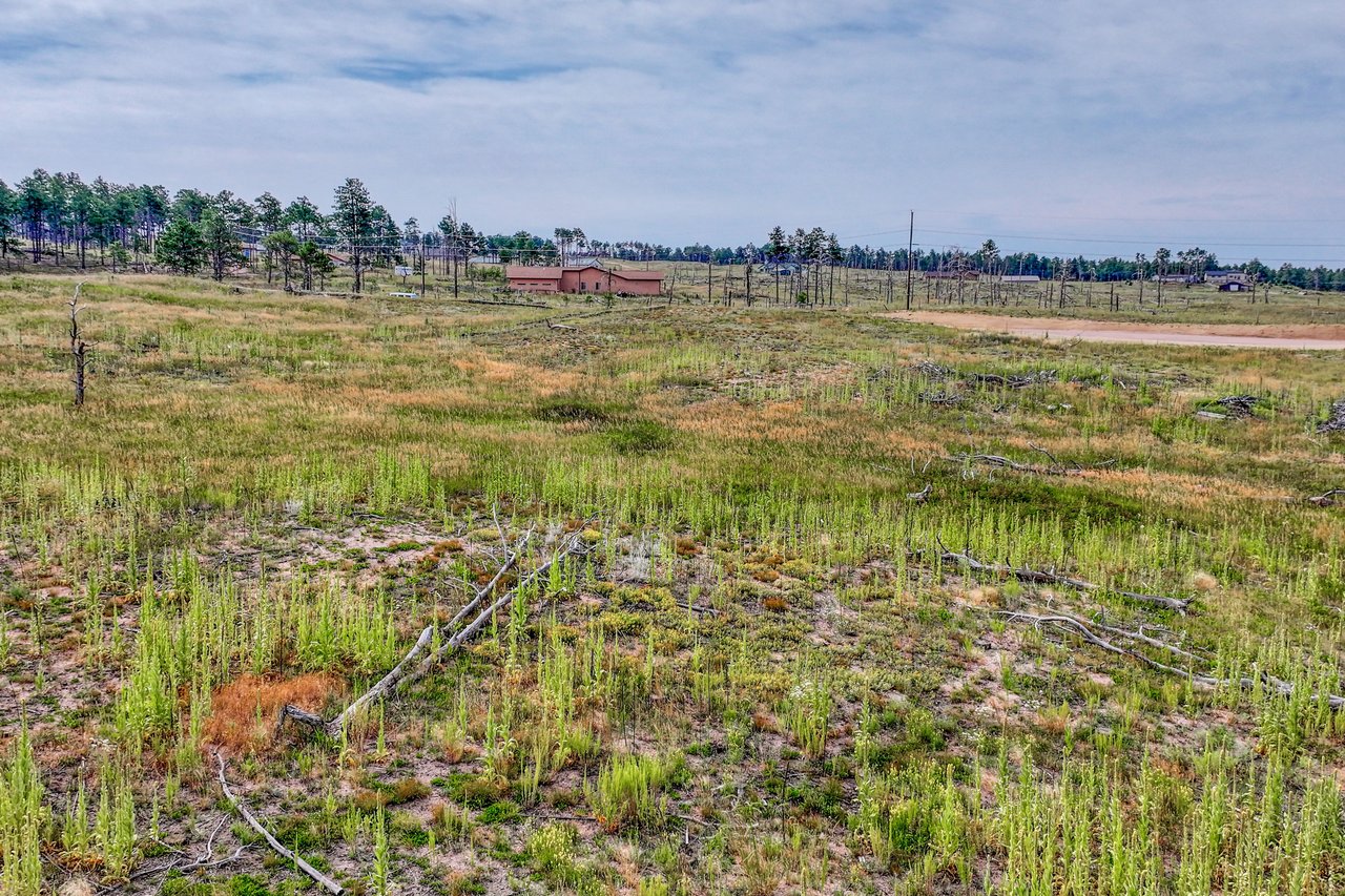 lot 1 Forest heights Circle