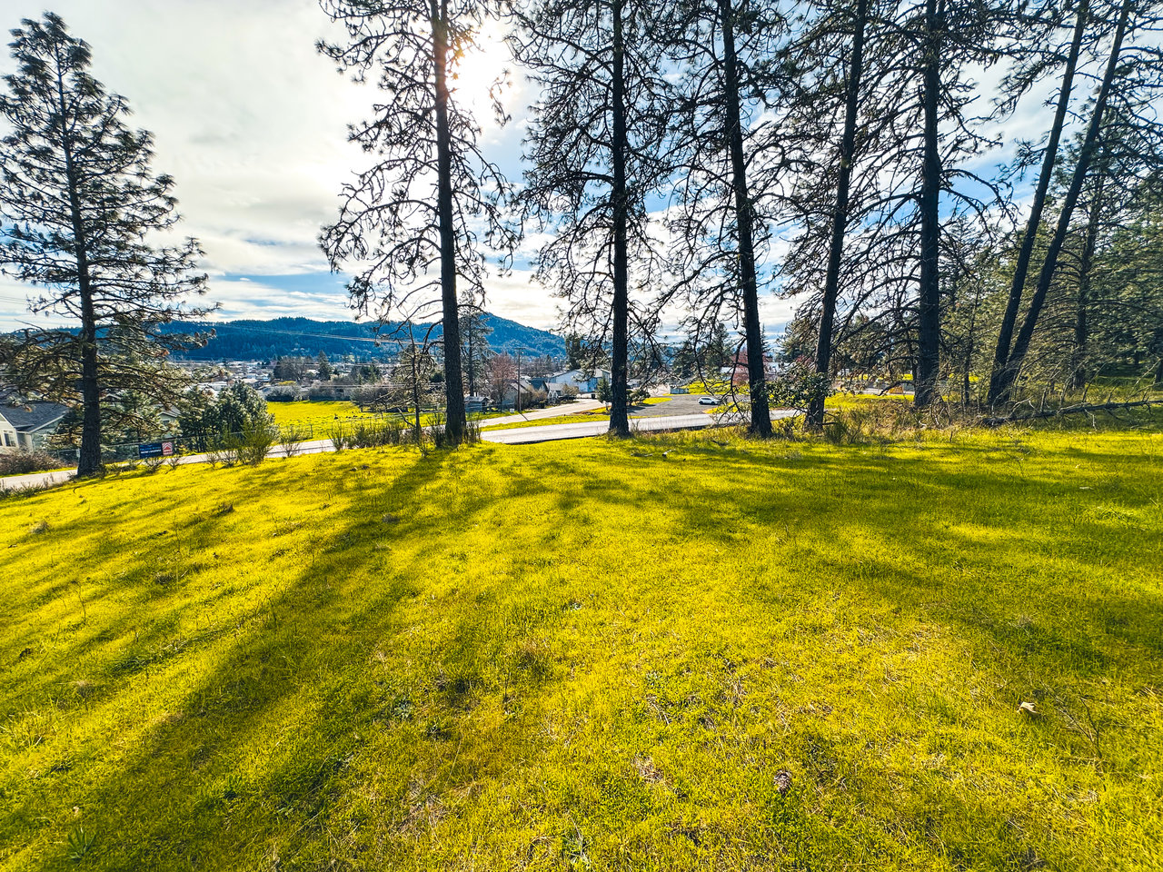 SUTHERLIN WOODLOTS