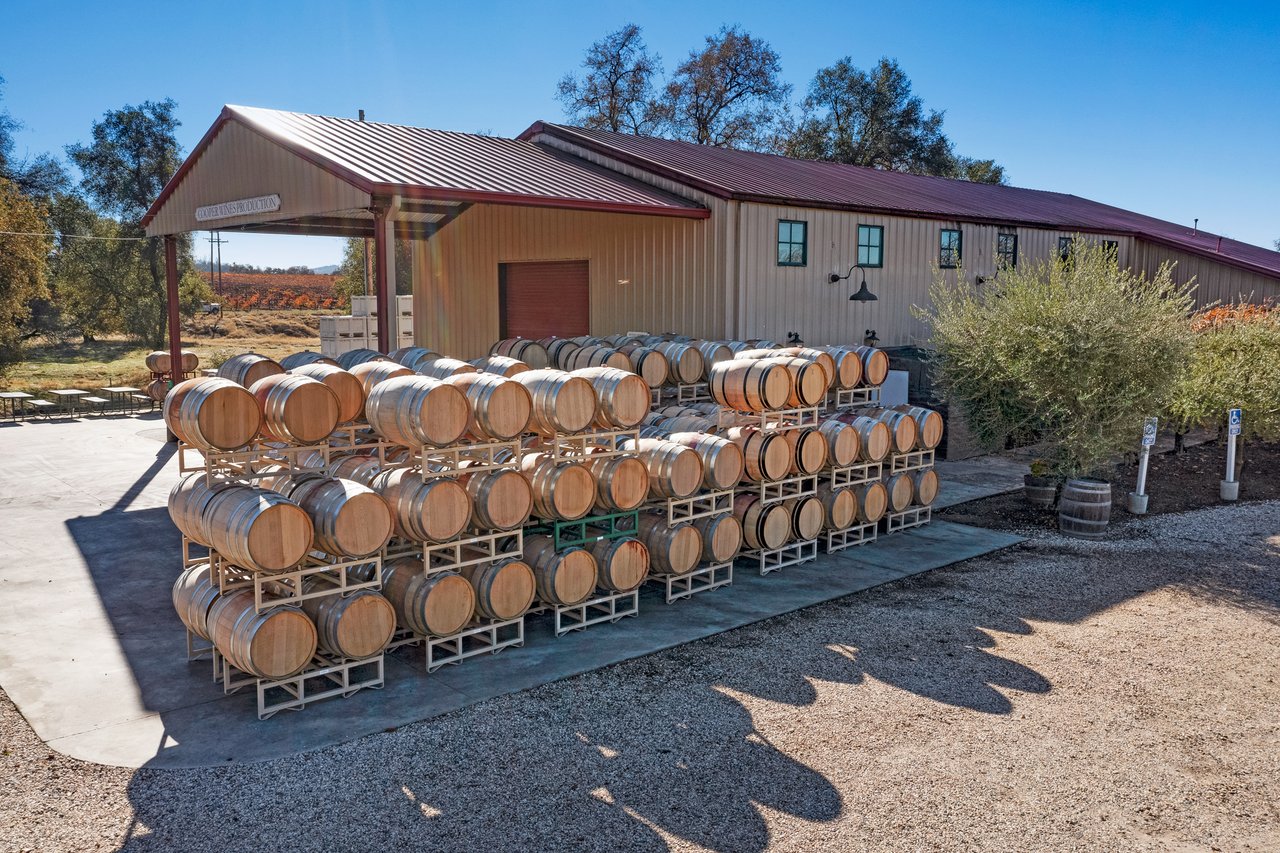 Cooper Vineyards - Barbera's Legacy Continues In the Heart of Shenandoah Valley