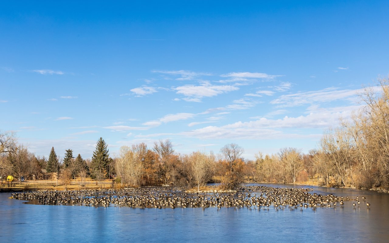 Lake Loveland