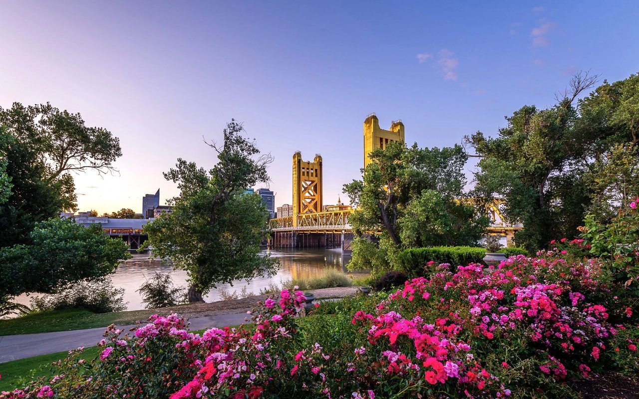 University Gardens Apartments