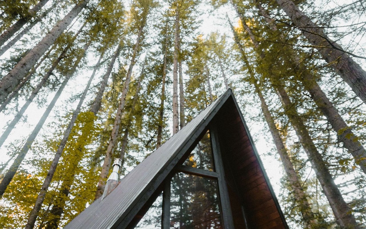 Pinedale