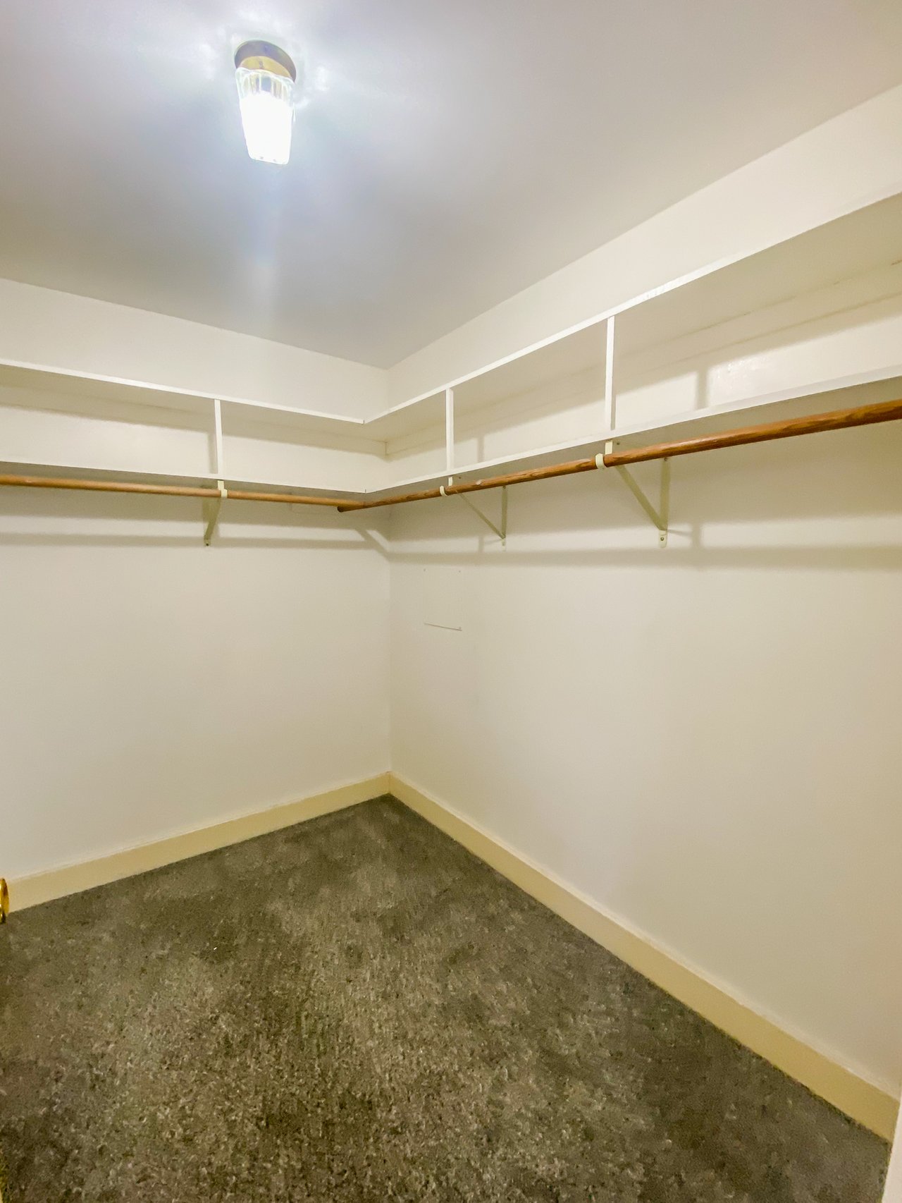 Rental Currently Available