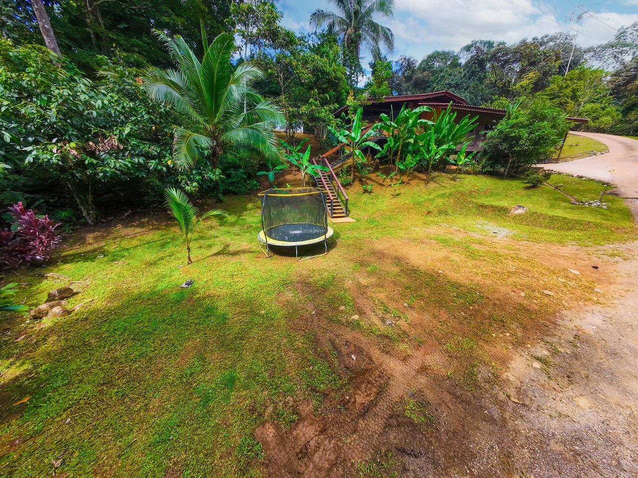 Serene Jungle Home + Guest Cabin on 3 Acres and River