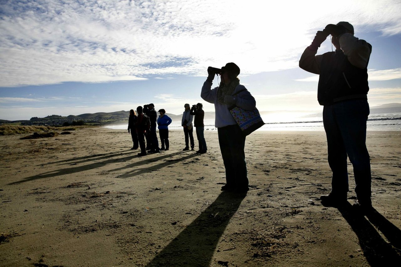 Our Favorite Places To Relax and Restore in Sonoma County