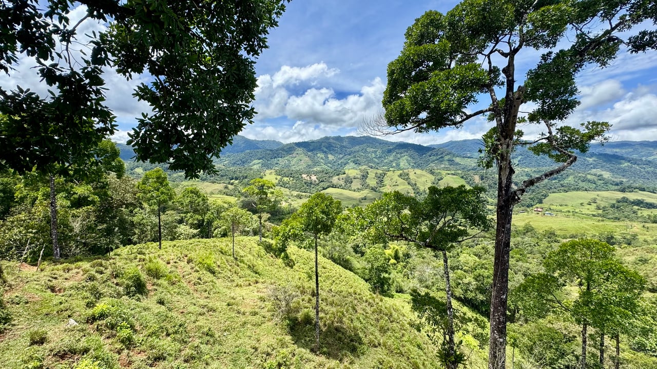Spring, Waterfalls and more!  Farm in San Vito Limoncito!