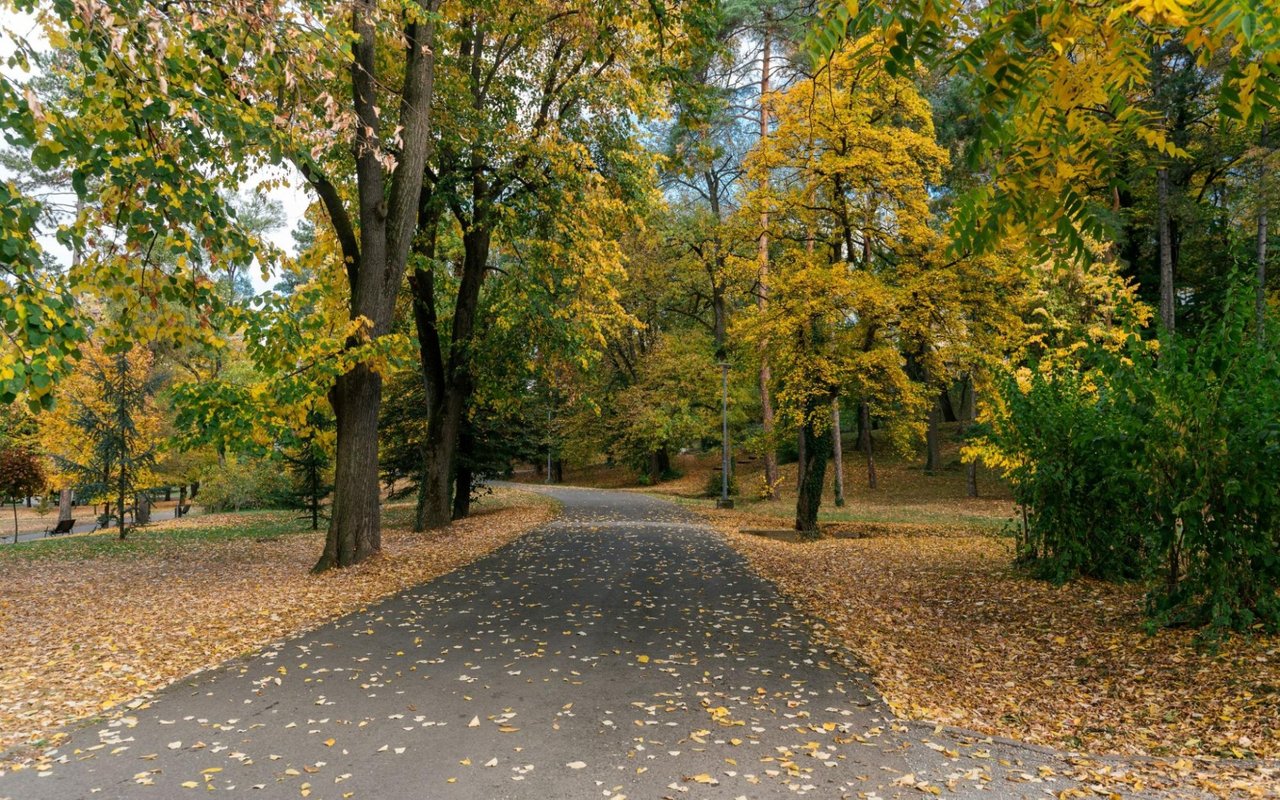 A Guide to Bozeman, MT, Parks