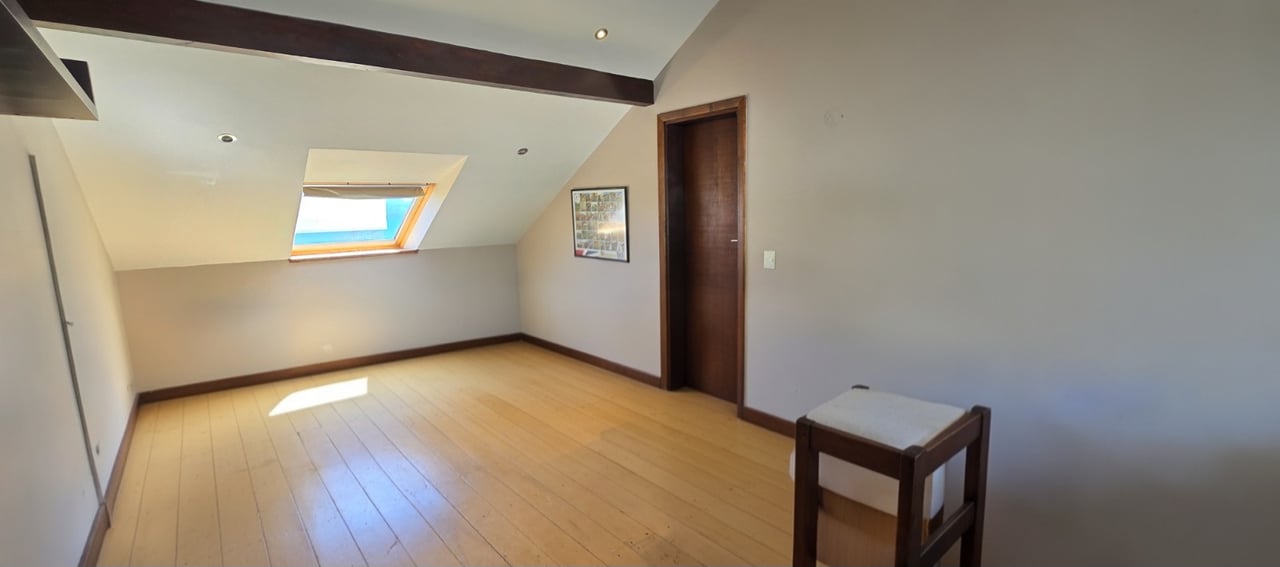 Mostly empty upstairs room with wood floors, sloped ceilings, and a large skylight.