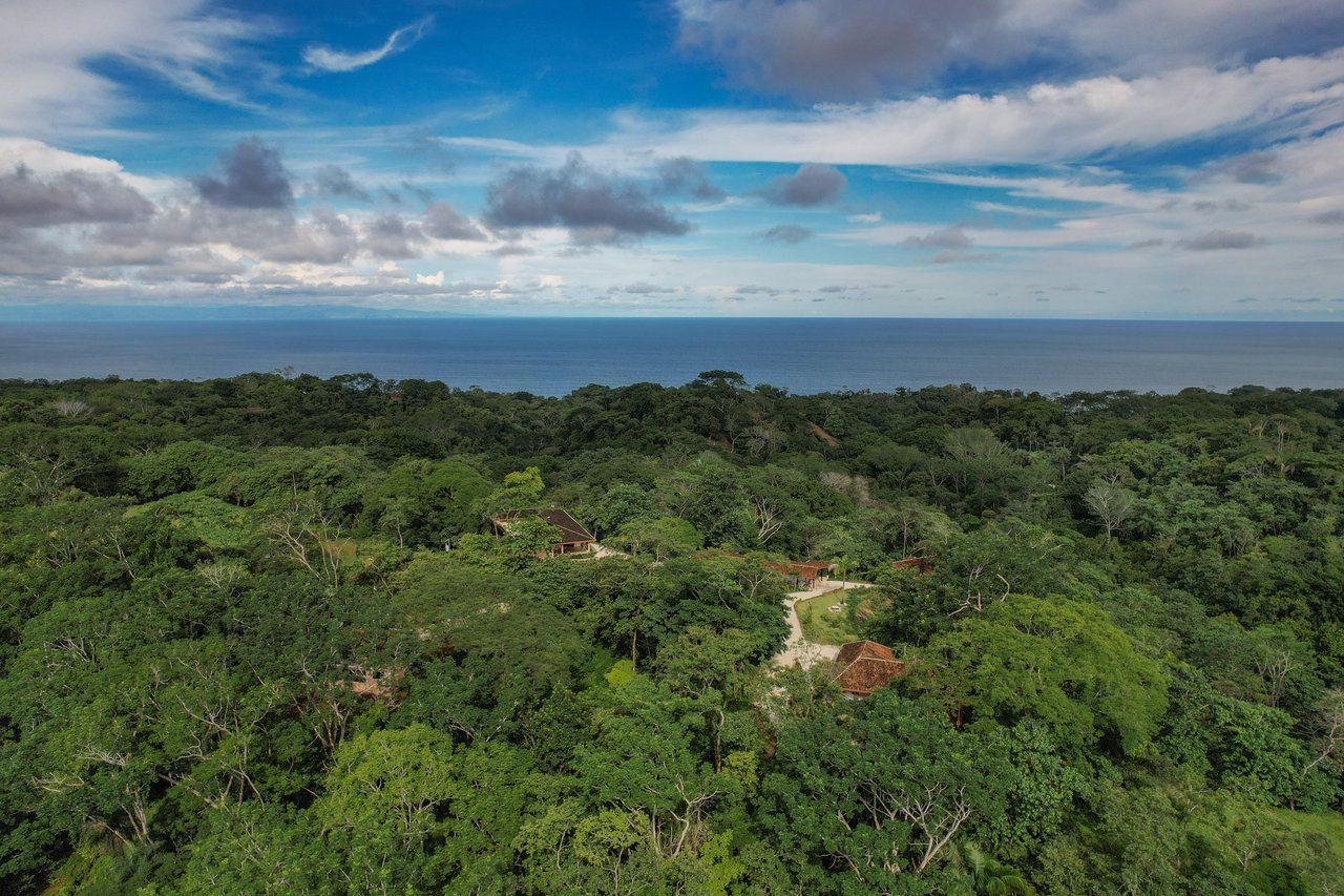 Chakra Bohemian Retreat / Las Delicias, Montezuma , Cóbano