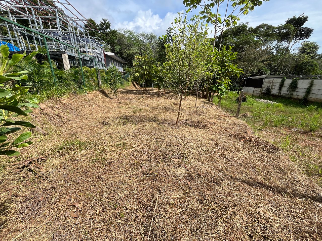 Affordable Uvita Lot UNDER $200-per-sqm - Perfect for Your Dream Home or Airbnb Investment