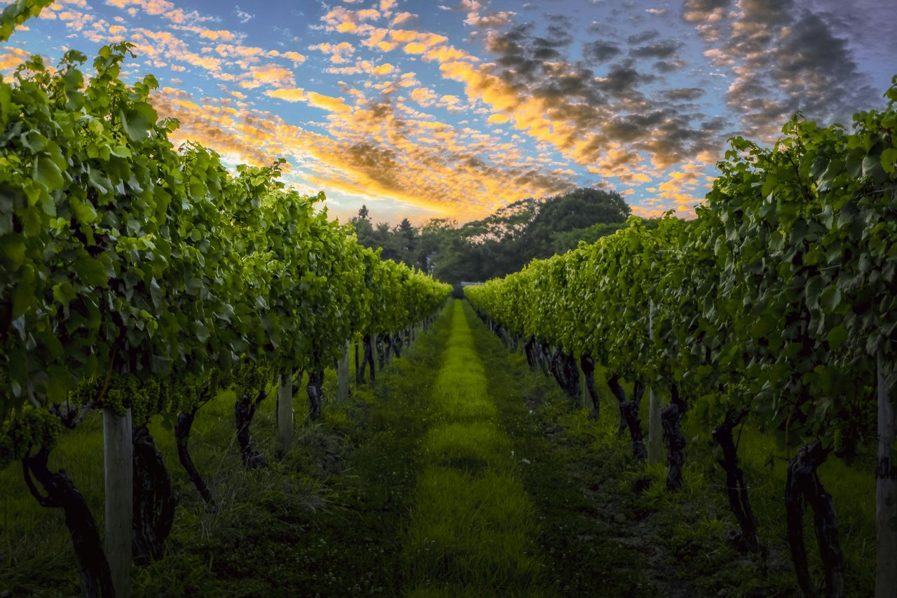 The North Fork