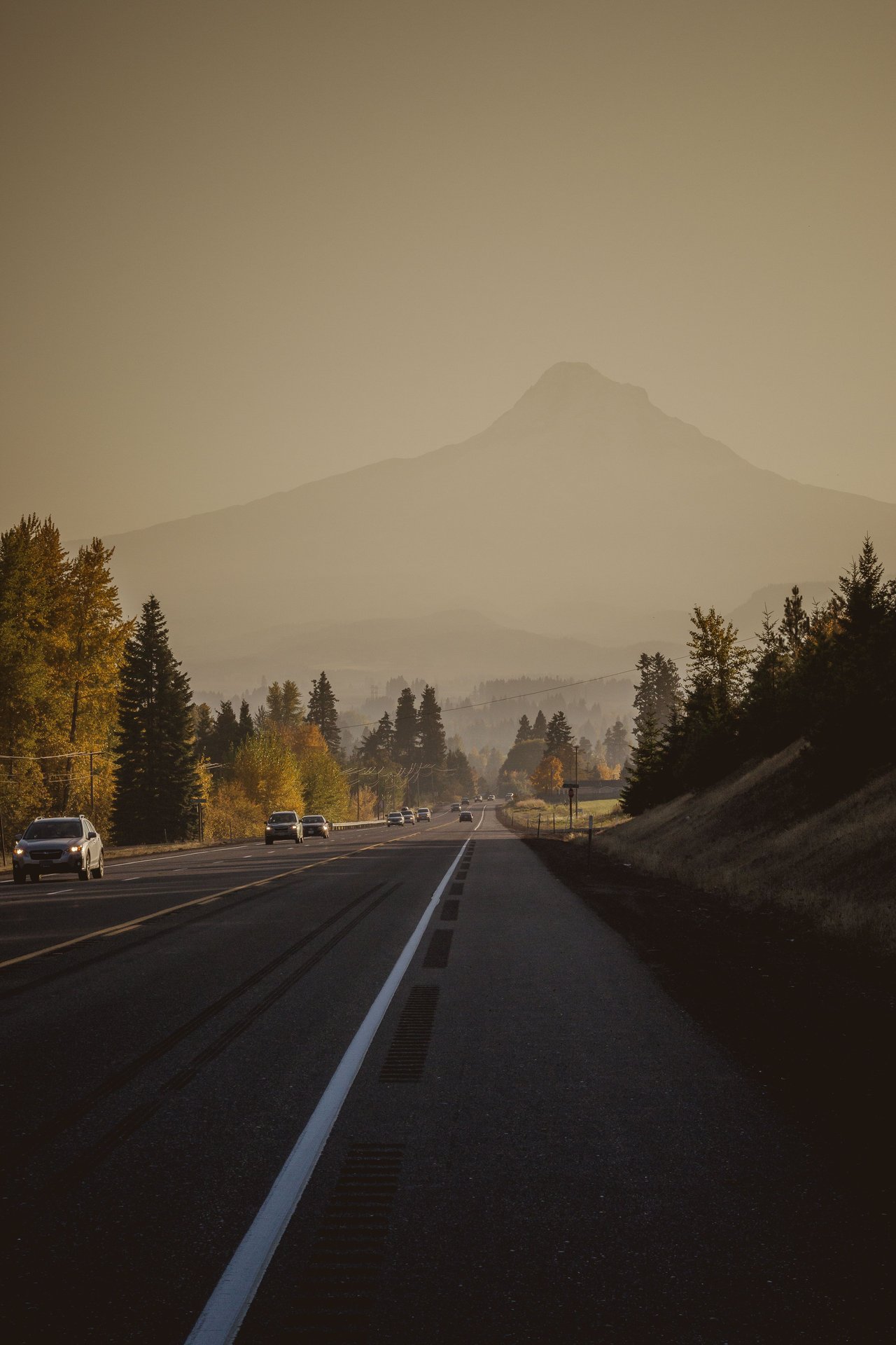 A highway leads through golden autumn trees toward a hazy mountain.