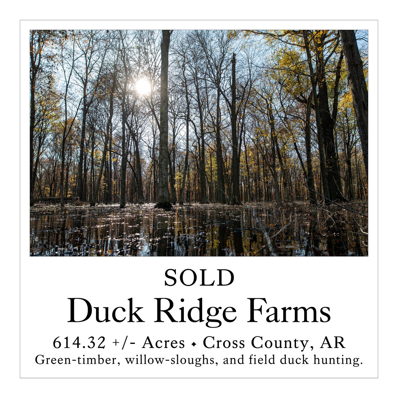 Duck Ridge Farms