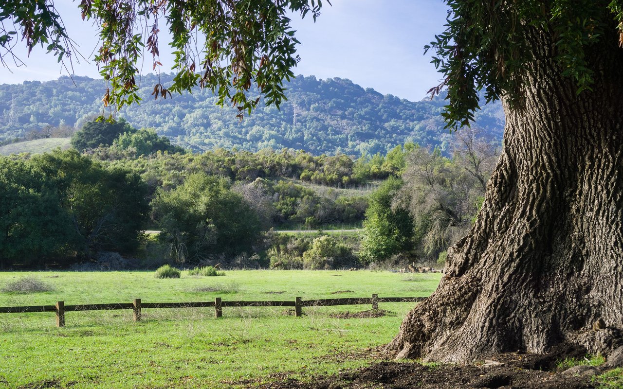 Deer Park
