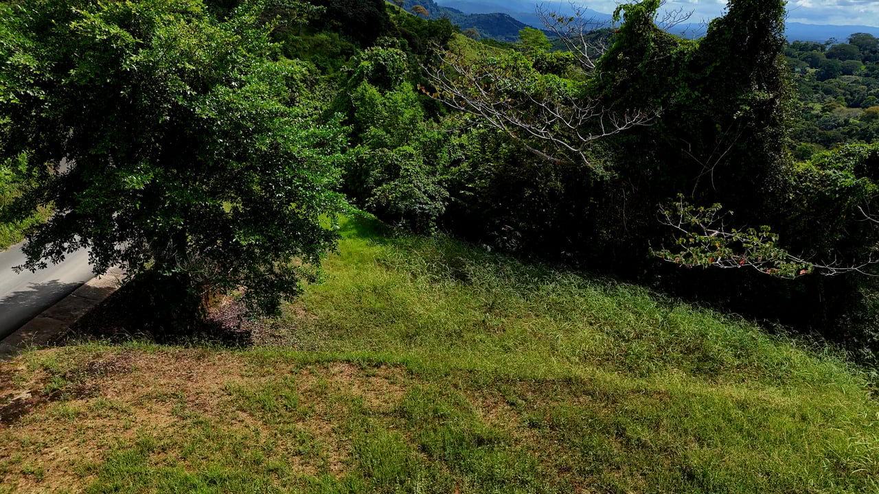 Ocean-View Lot in Chontales – 9,057 m² – Osa, Puntarenas