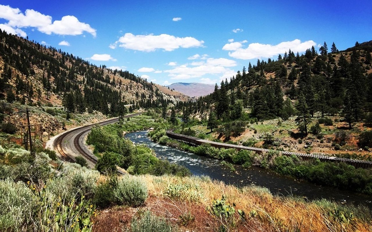 River through a pine-covered valley, with curving railroad tracks and a narrow bridge.