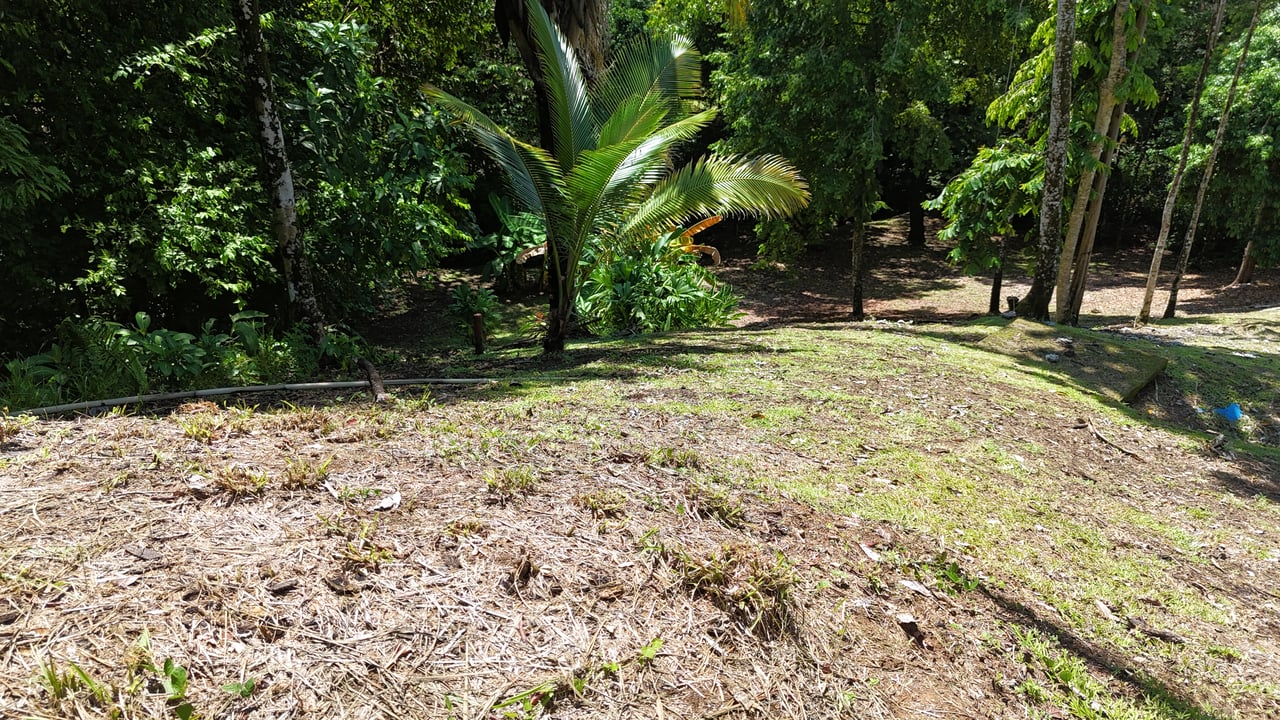 Walk to the Playitas beach, Titlled Building lot