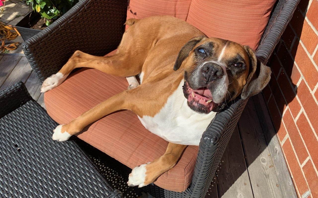 A Love Letter to Ruby