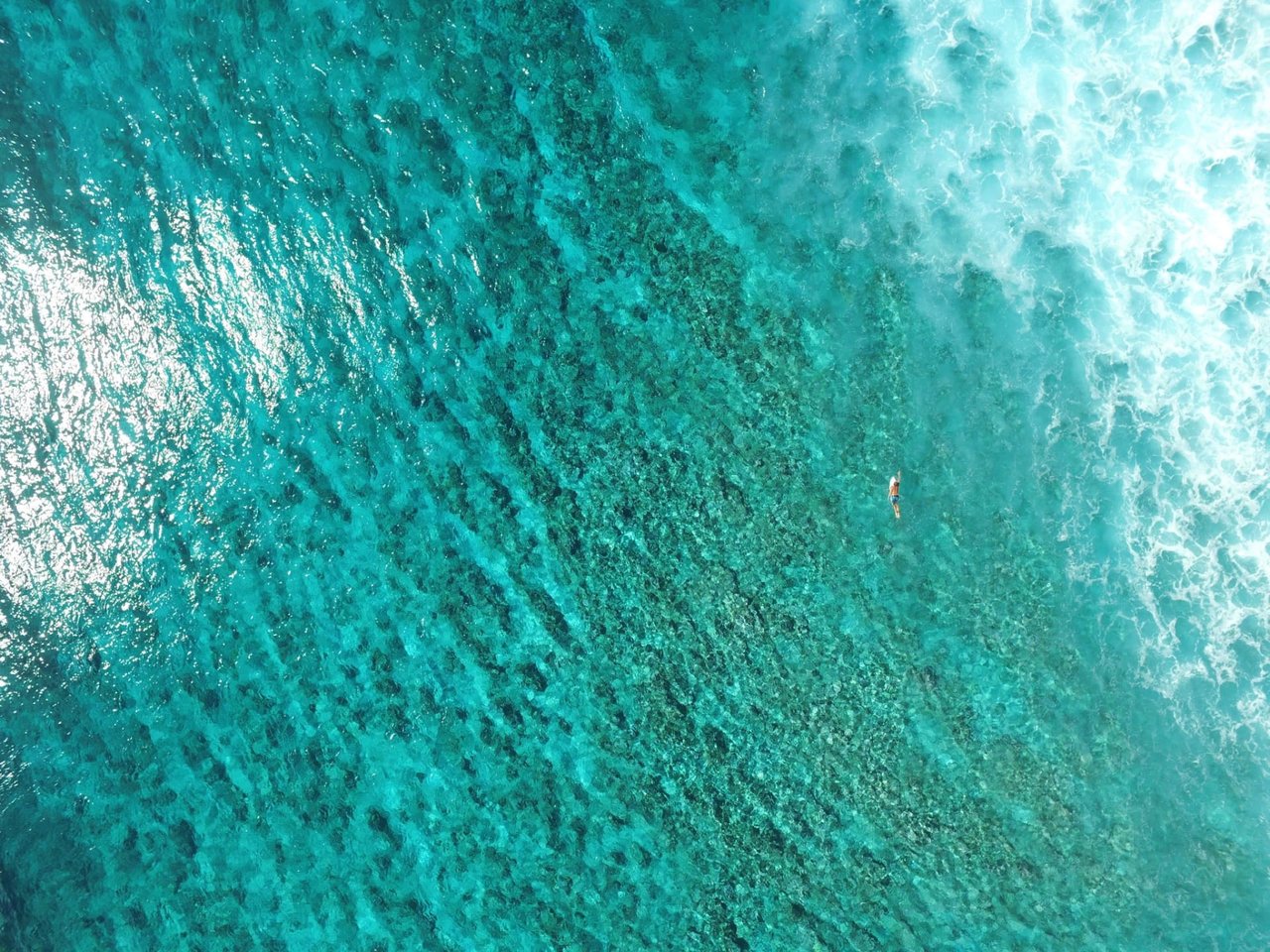 Reef Safe Sunscreen Only Please