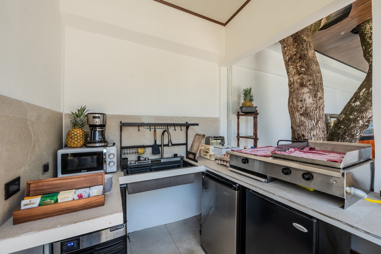 Turnkey Boutique Hotel for Sale in Bahía Ballena, Uvita – Los Papyrus