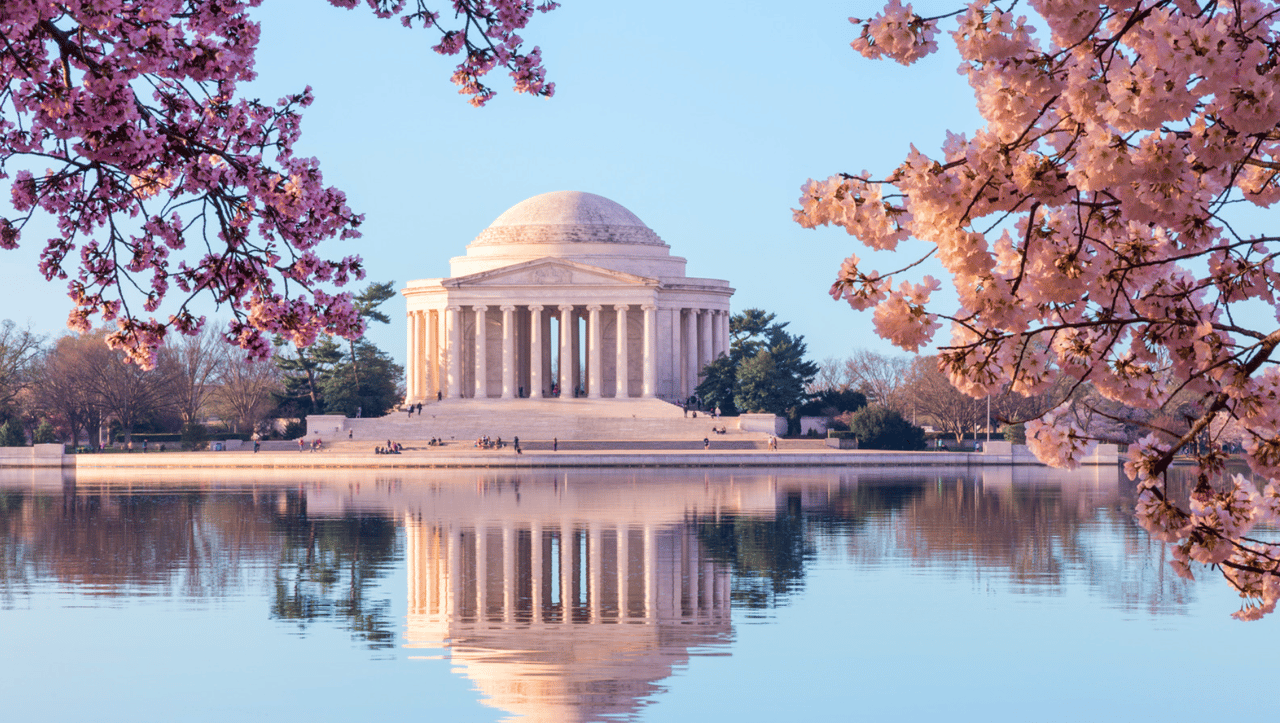 Best Places to Experience Cherry Blossom Season in Washington, D.C. & Alexandria, Virginia