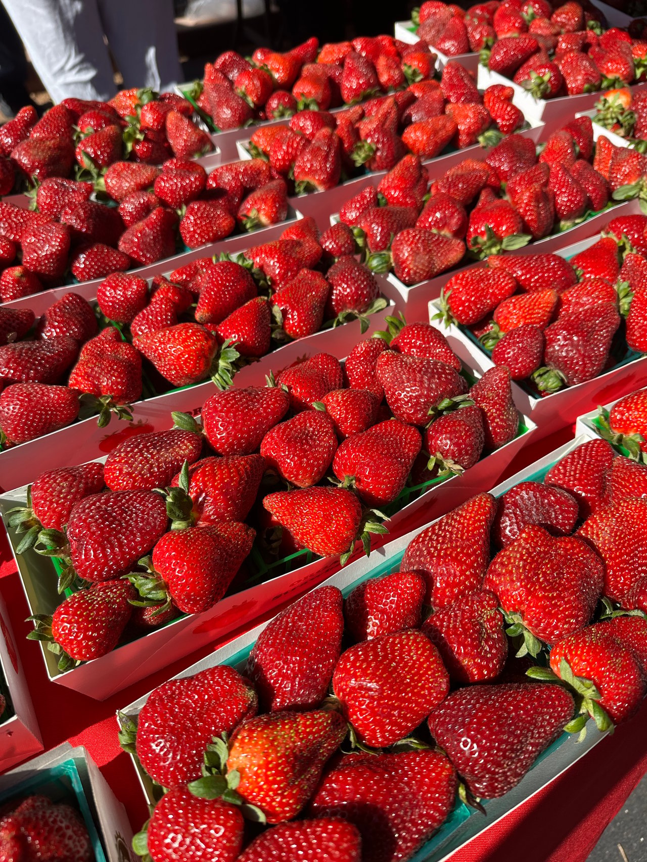 7 Best Grocery Stores on the San Mateo Coast | Ocean Element