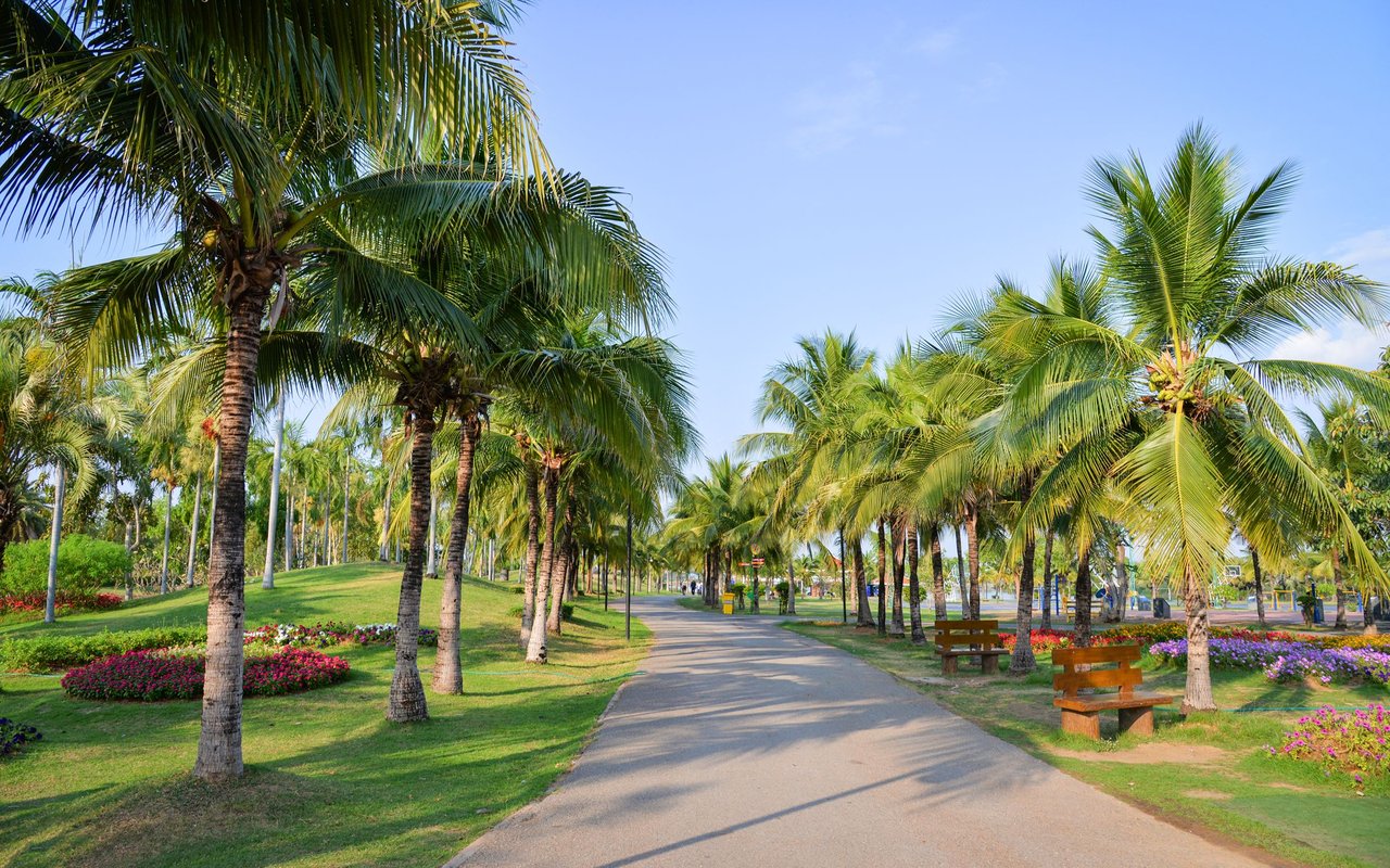 Palm-lined park walkway bordered by flower beds, lawns, and benches.