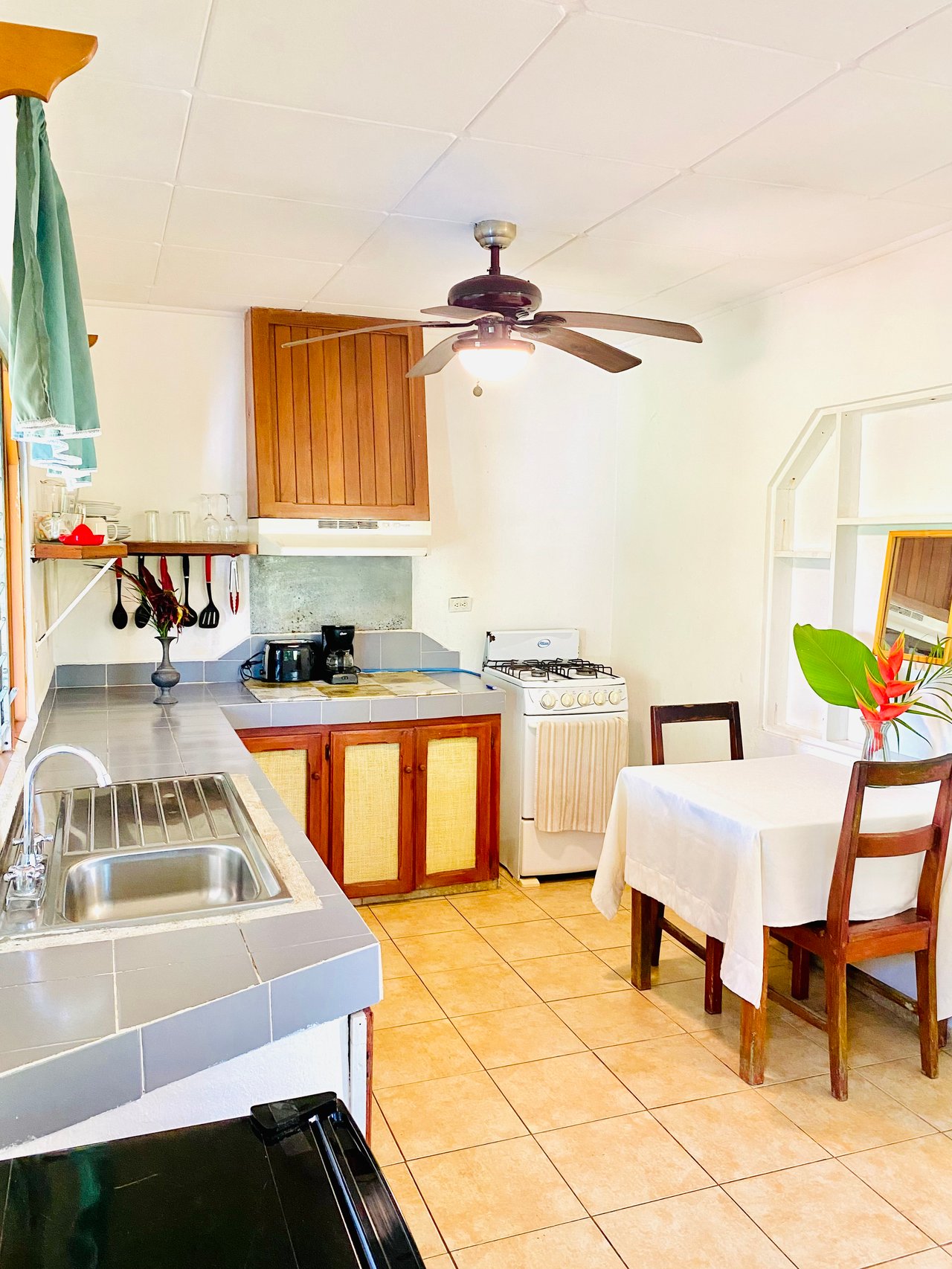2 Homes in Ojochal Live and Earn in Paradise