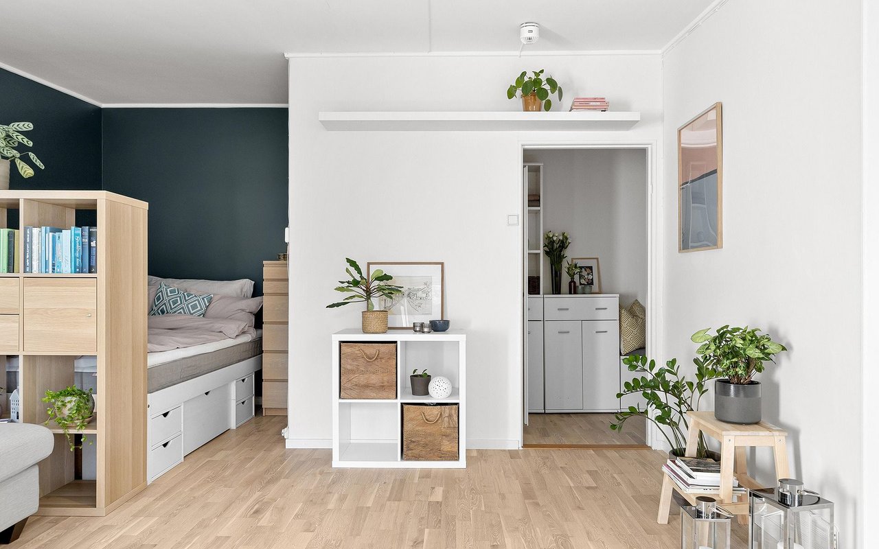 Bright apartment interior with a tucked-away bed, teal accent wall, pale wood floors, and indoor plants.