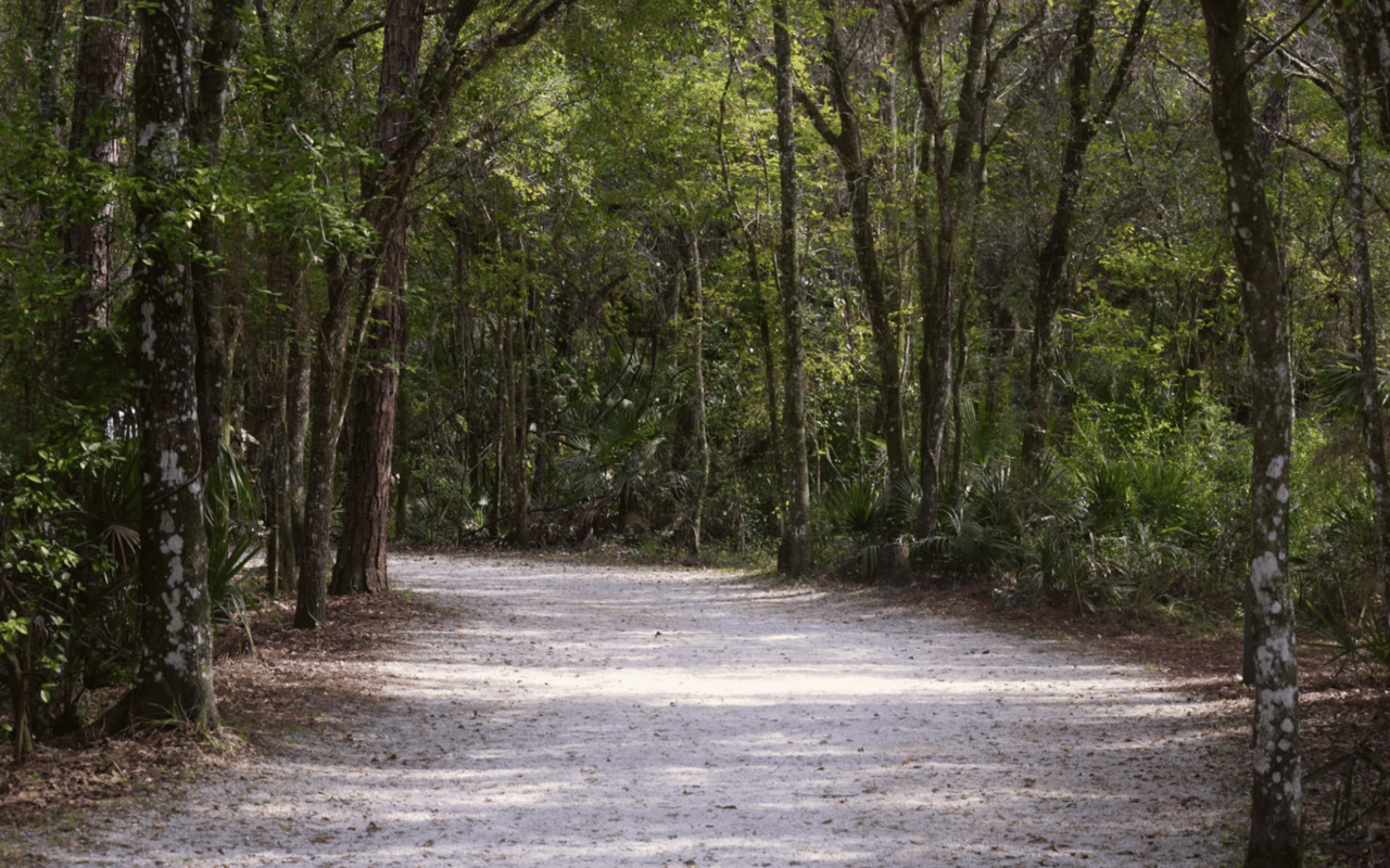 Exploring the Parks of Bonita Bay