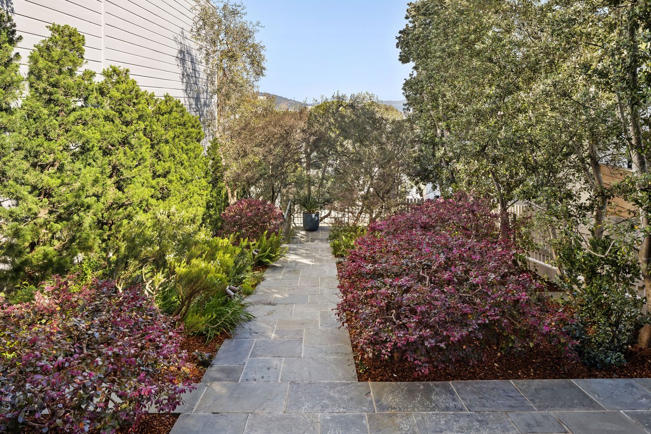 Reimagined Telegraph Hill Edwardian