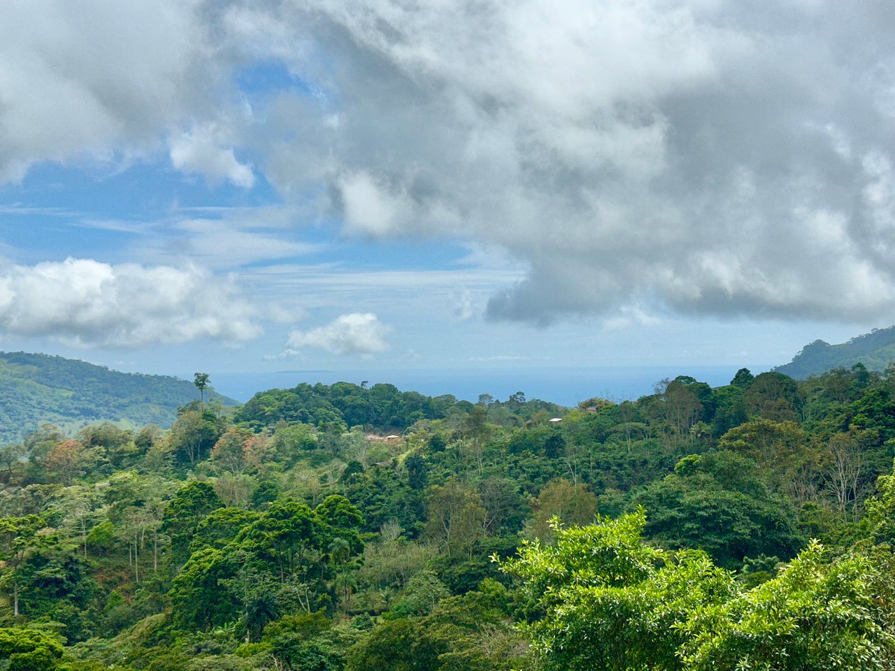 Gorgeous Land in San Luis Morete - Uvita - Over 17 Acres