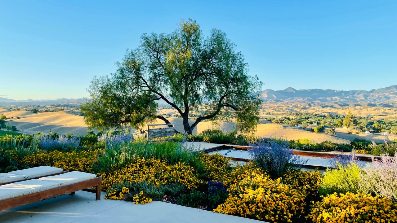Where Tranquility meets Inspiration
