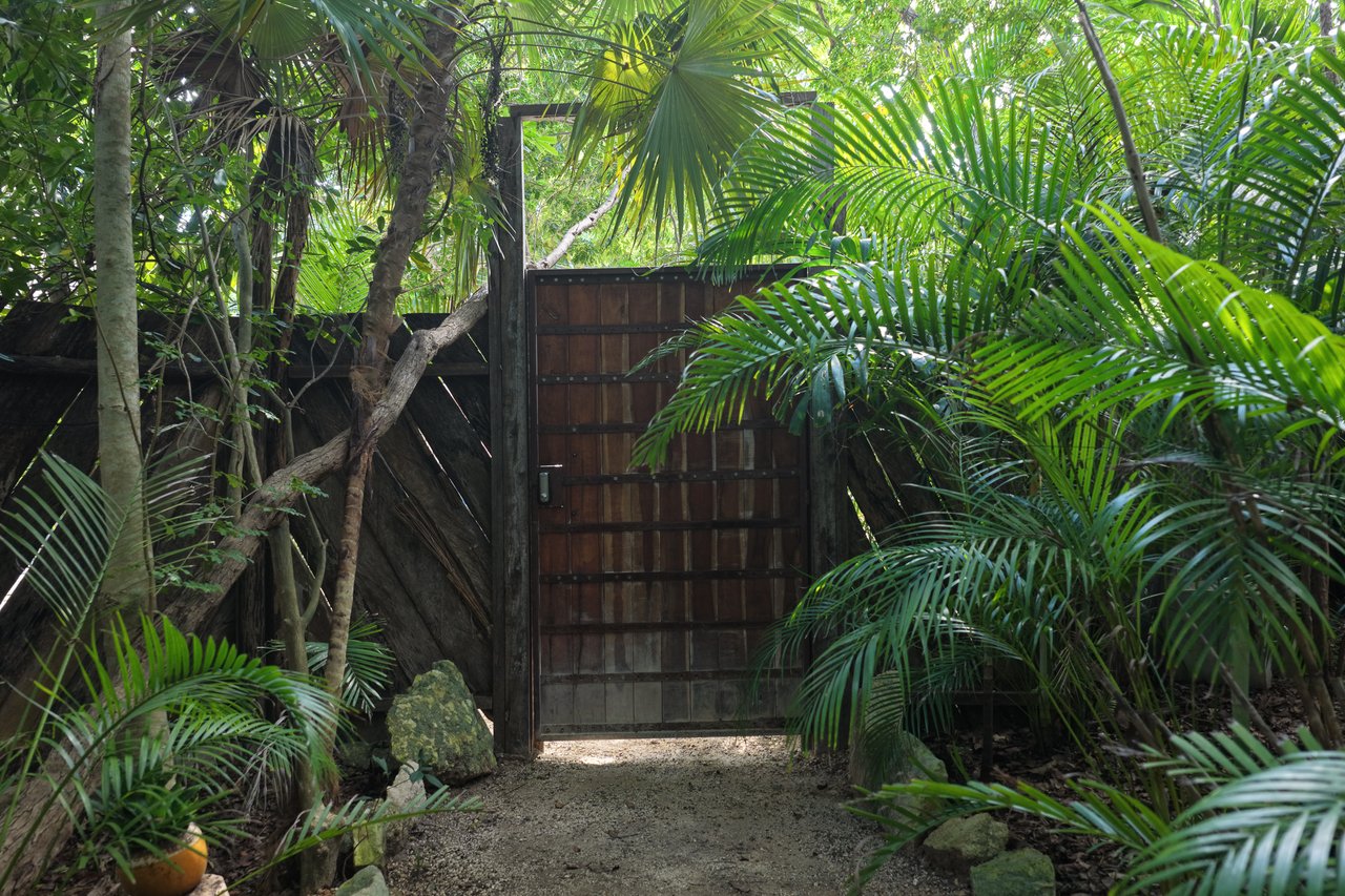 SELVATIK JUNGLE PODS 