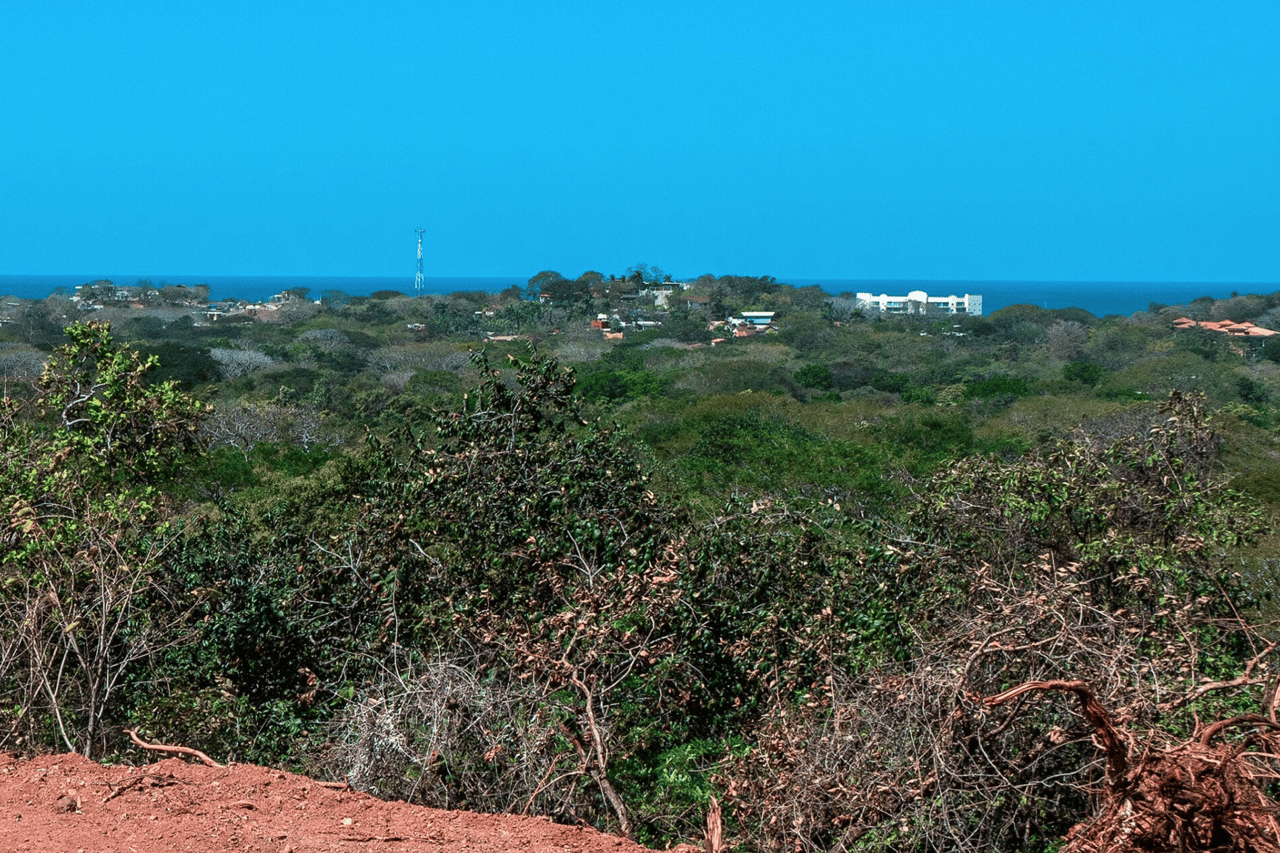 Tamarindo Development Parcel 18.5 Acres - Ready to Build
