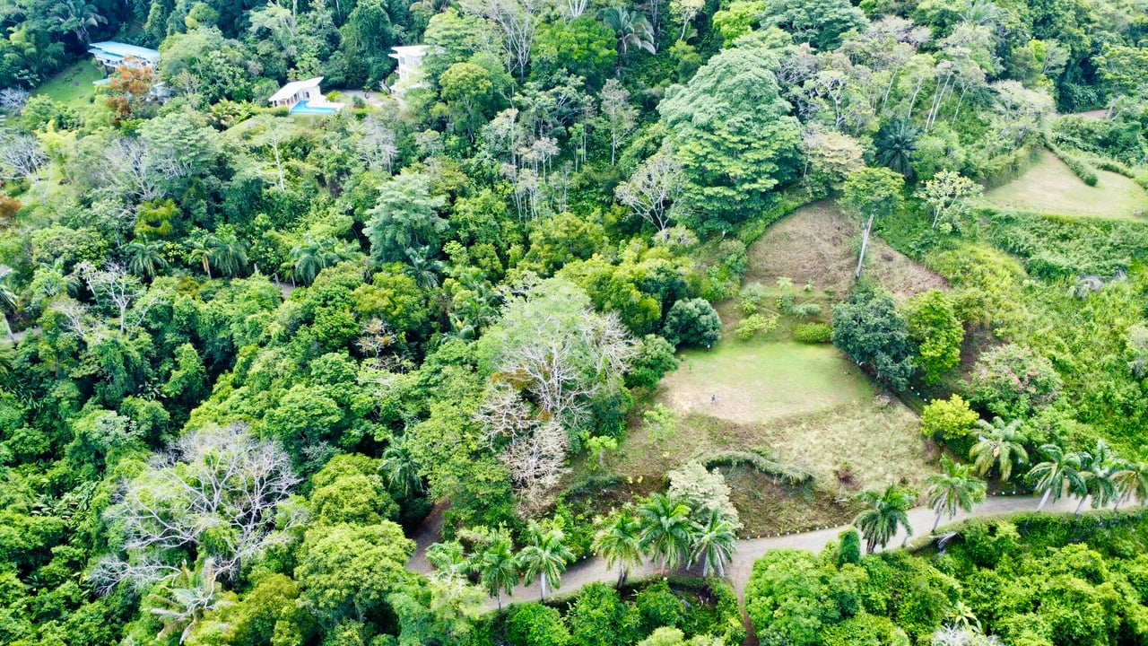 3.6 Acre Ocean View, Near the Beach & Cool Mountain Elevation