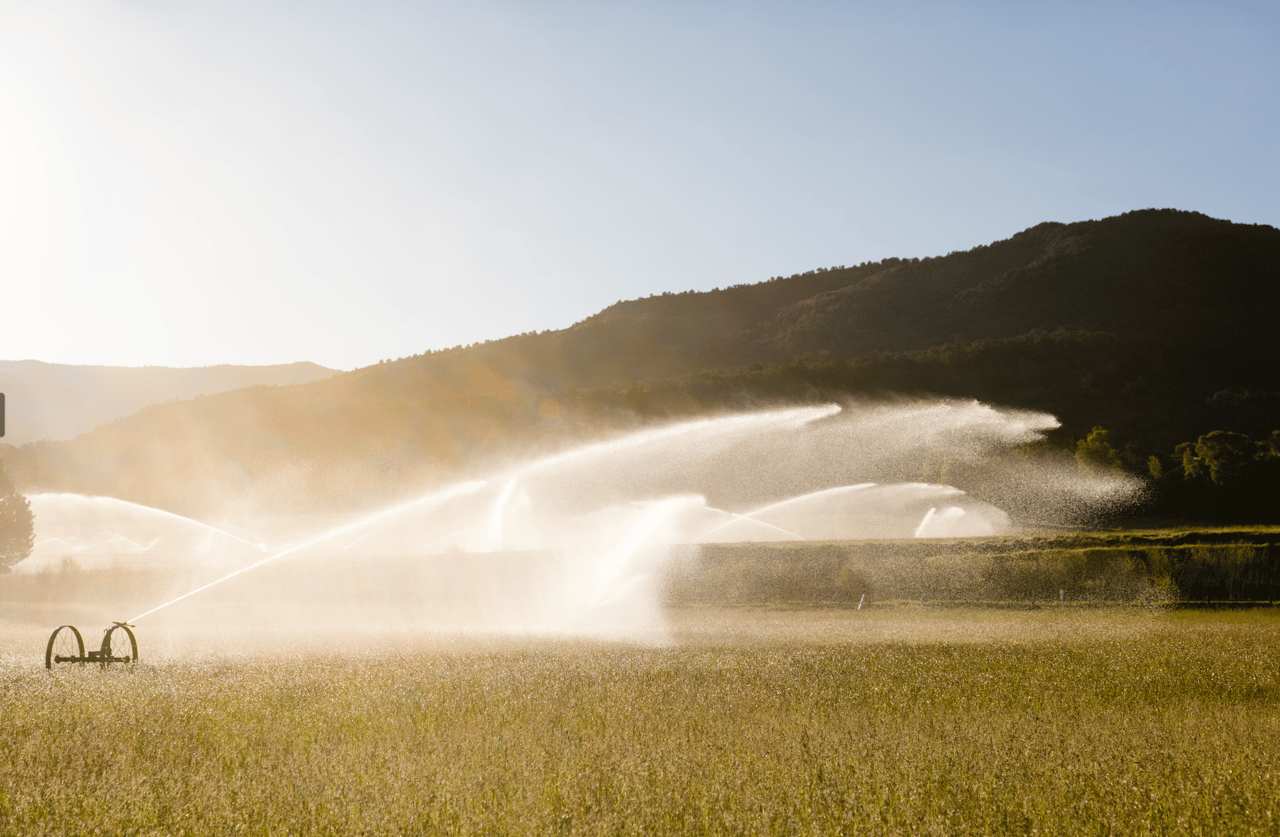 Aspen Equestrian Estates